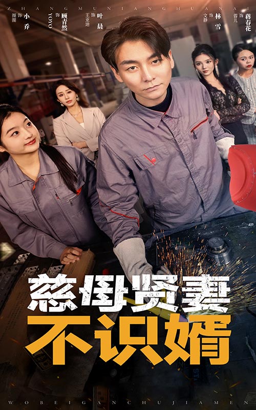 慈母贤妻不识婿(45集)