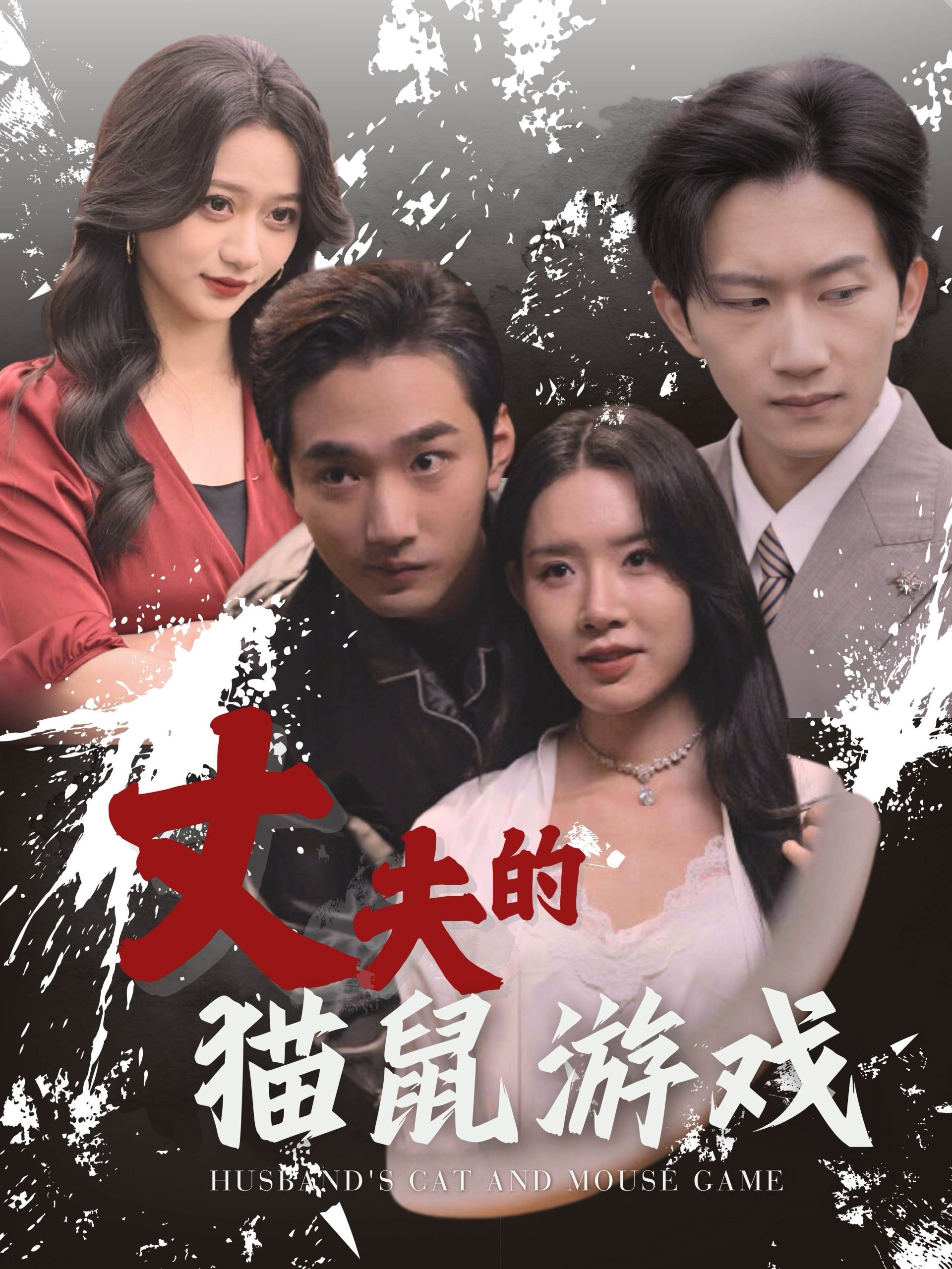 丈夫的猫鼠游戏(30集)