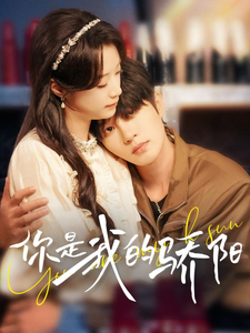 你是我的骄阳(100集)王小亿&陈云廷