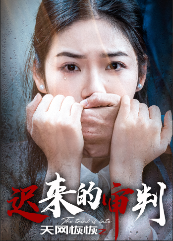 天网恢恢之迟来的审判(31集)李艺璇