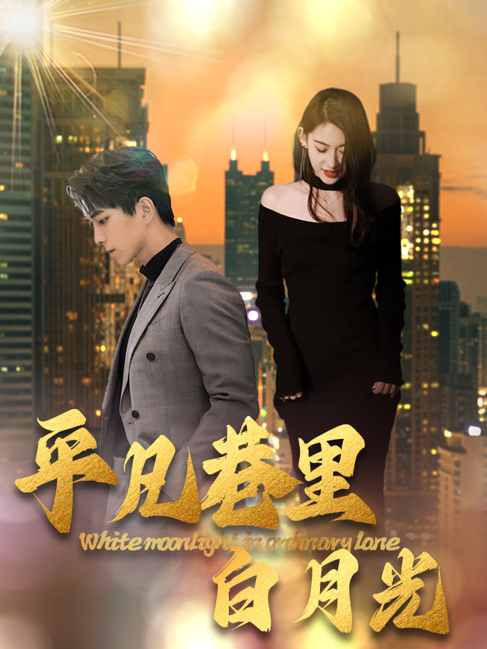 平凡巷里白月光(33集)