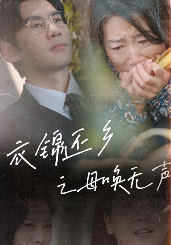 衣锦还乡之母唤无声(60集)