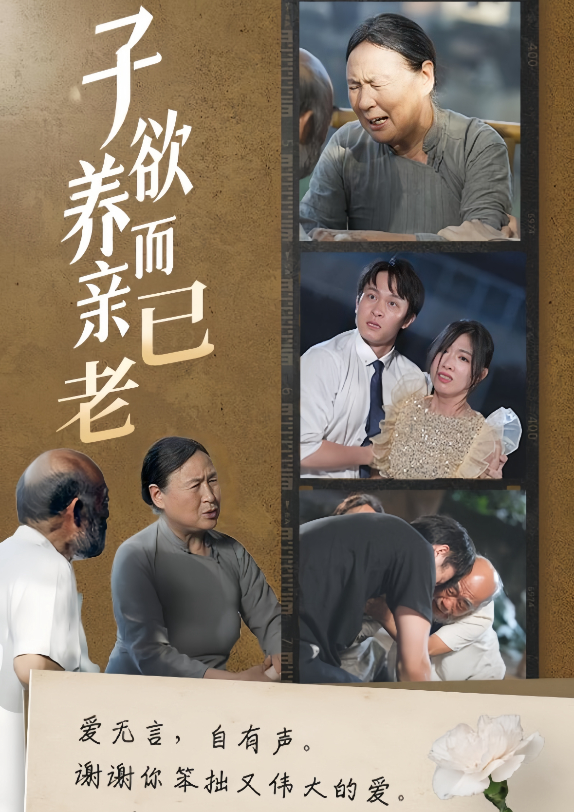 子欲养而亲已老(58集)