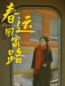 春运回家路(32集)