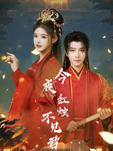 今夜红烛不见君(74集)一航