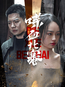 喋血北寨(90集)