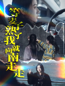 等麦子熟了我就向南走走(41集)