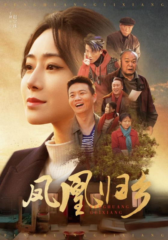 凤凰归乡(33集)