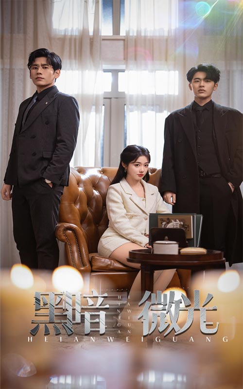 黑暗微光(66集)墨凝