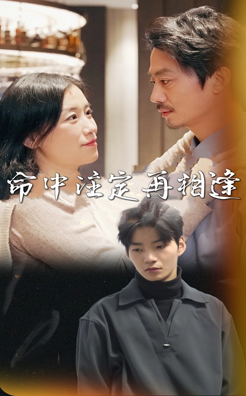 命中注定再相逢(39集)