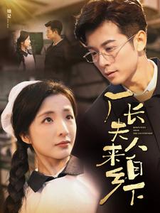 厂长夫人来自乡下(60集)