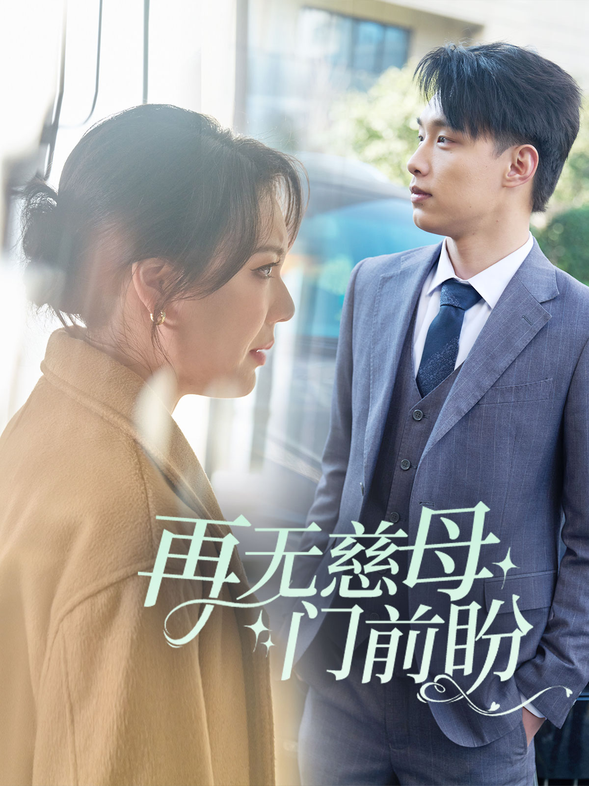 再无慈母门前盼(30集)