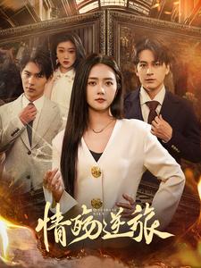 情殇逆旅(90集)雷玉孟