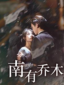南有乔木(60集)