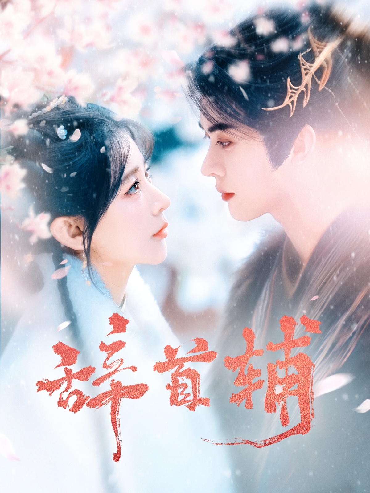 辞首辅(80集)李枫&杨弋墨