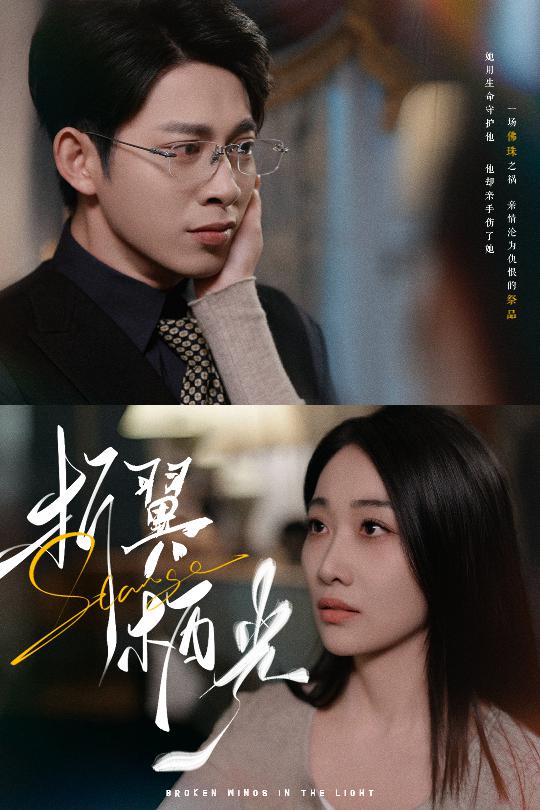 折翼栖光(43集)白杨滋&张钰静