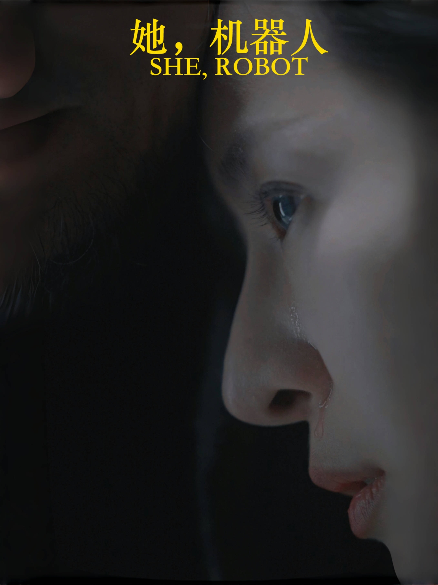 她,机器人(23集)