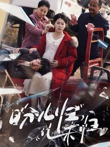 盼儿归儿未归(30集)