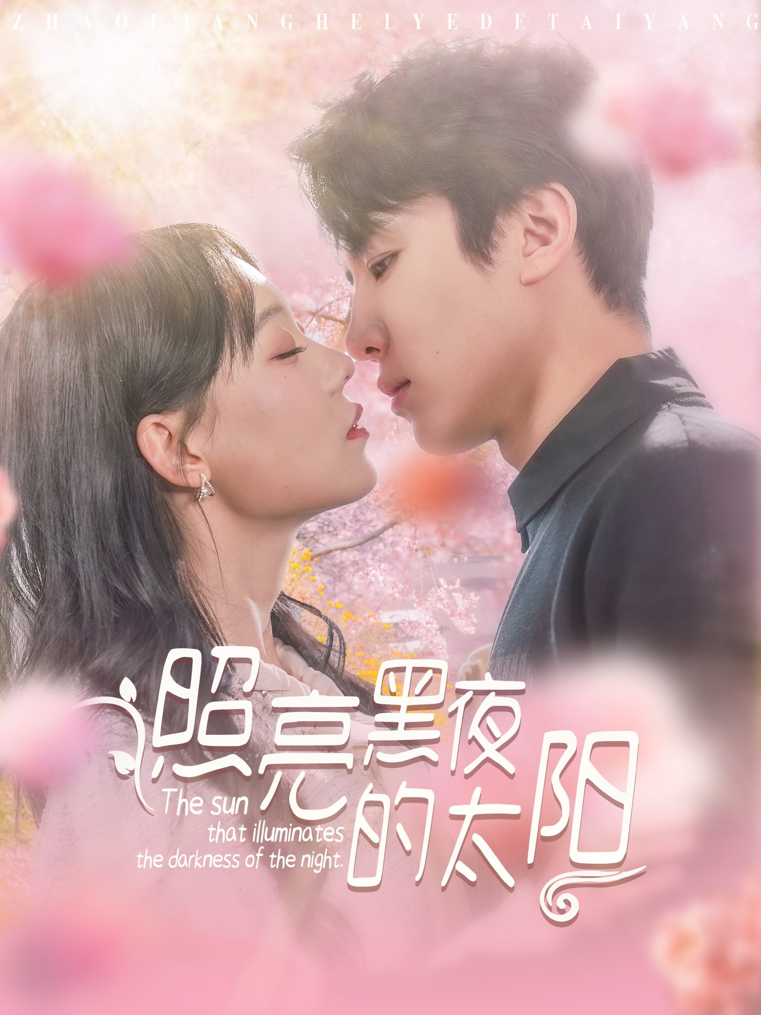 照亮黑夜的太阳(80集)刘一隆&张贻乔