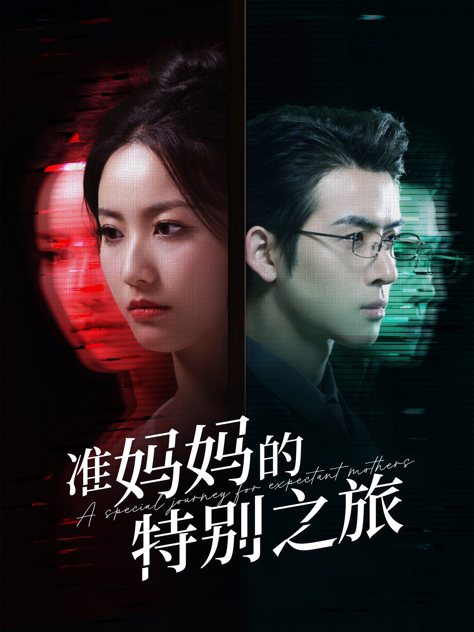 准妈妈的特别之旅(80集)