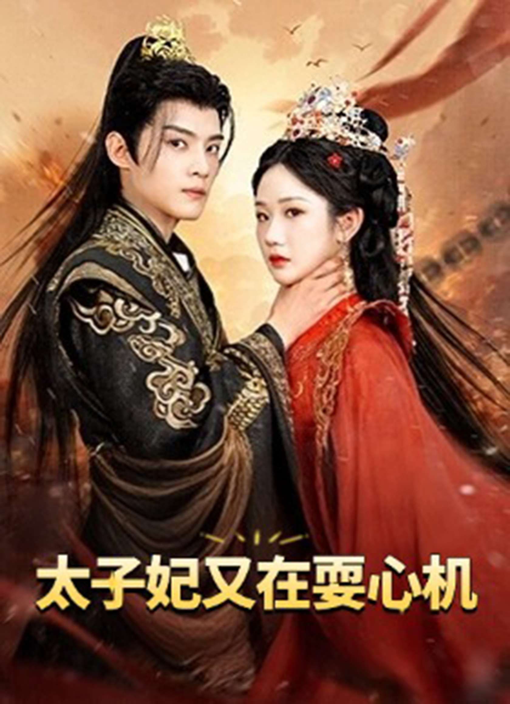 太子妃又在耍心机&人家才不是坏女人(80集)张晋宜&谢鸿鑫