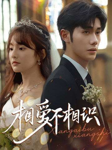 相爱不相识(67集)李铂一&王子怡