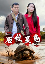 石纹灵龟(30集)王浩&刘灵