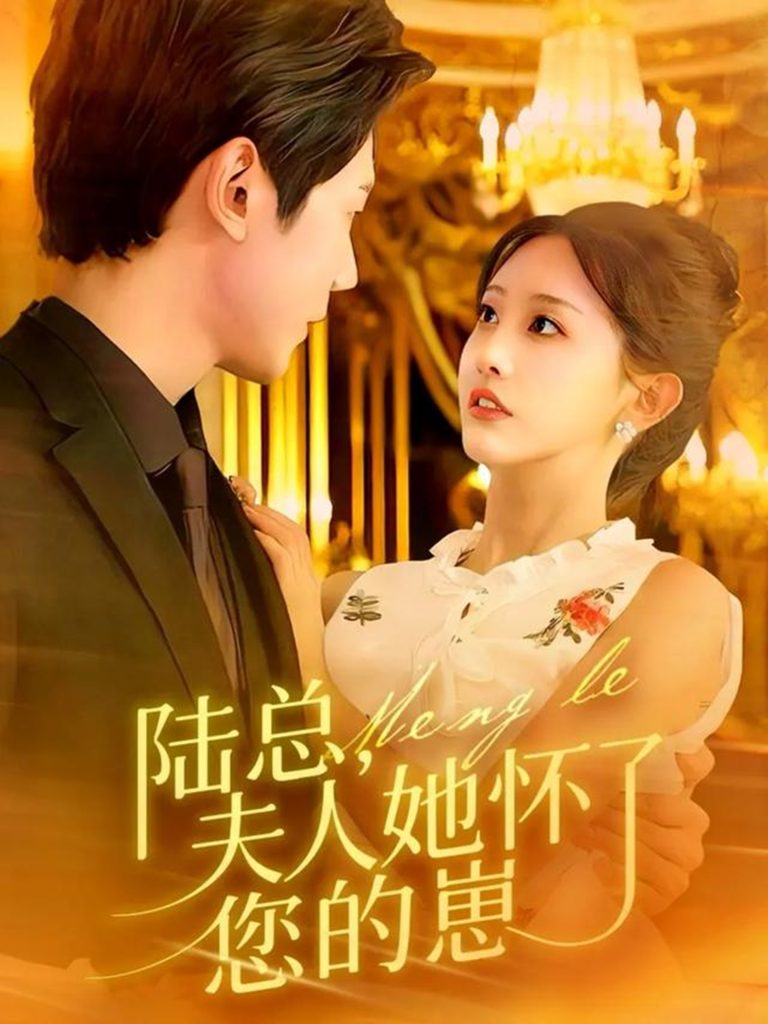 陆总,夫人她怀了您的崽(89集)何连飞&李艾笑