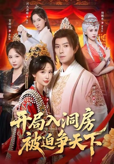 开局入洞房,被迫争天下(88集)傅汉源&姜熙饶