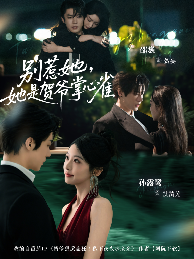 别惹她,她是贺爷掌心雀(69集)邵巍&孙露鹭