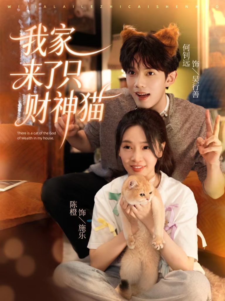 我家来了只财神猫(80集)何钊远&陈橙