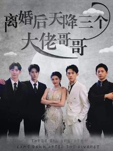 免费短剧：离婚后天降三个大佬哥哥（83集）