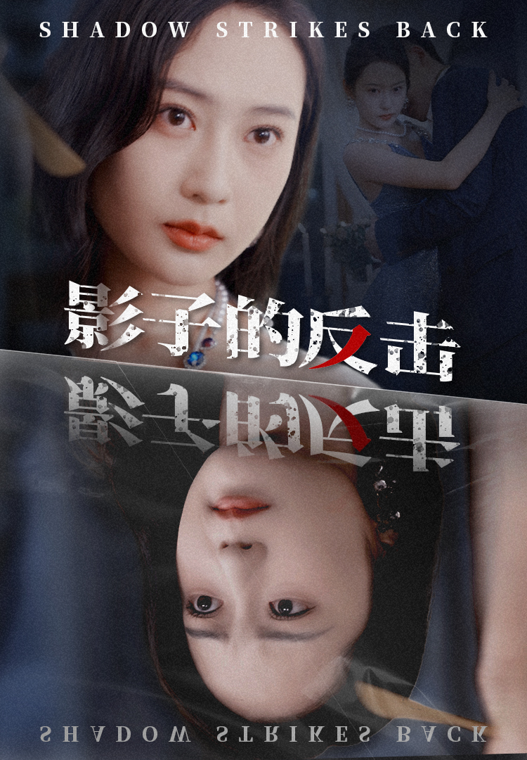 影子的反击(31集)