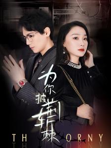 为你披荆斩棘(90集)