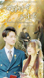 落花时节再逢君(82集)