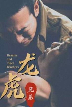 免费短剧《龙虎兄弟(80集全)》免费观看