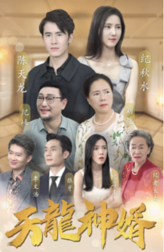 免费短剧:天龙神婿(80集)