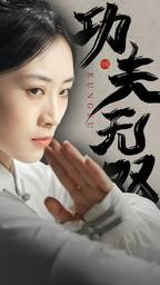 免费短剧:功夫无双(65集)