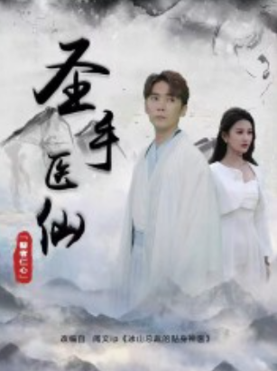 圣手医仙(120集全)
