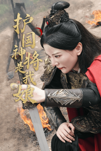 护国神将是我娘(60集)