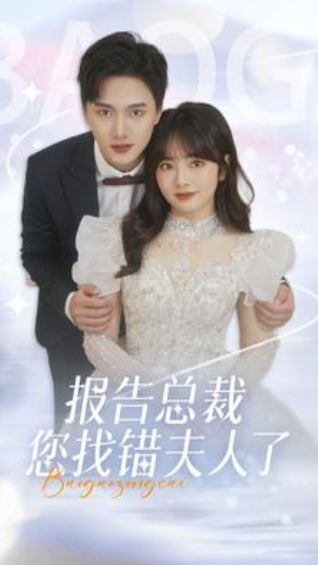 报告总裁您找错夫人了(93集)
