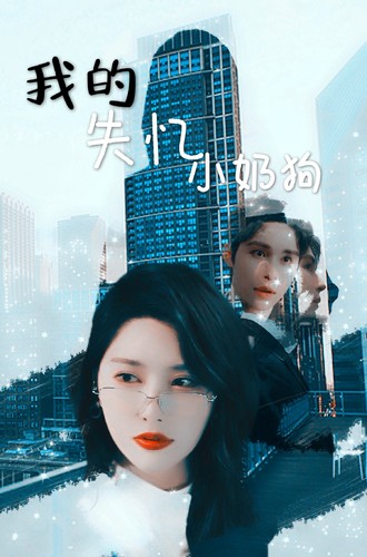 短剧资源:我的失忆小奶狗(64集)秦天爱&柯俊