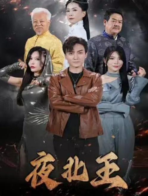 免费短剧:夜北王(76集)