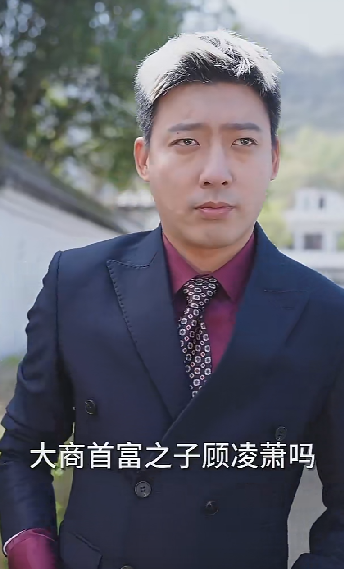 鹿总夫人又要和您摊牌了(100集)