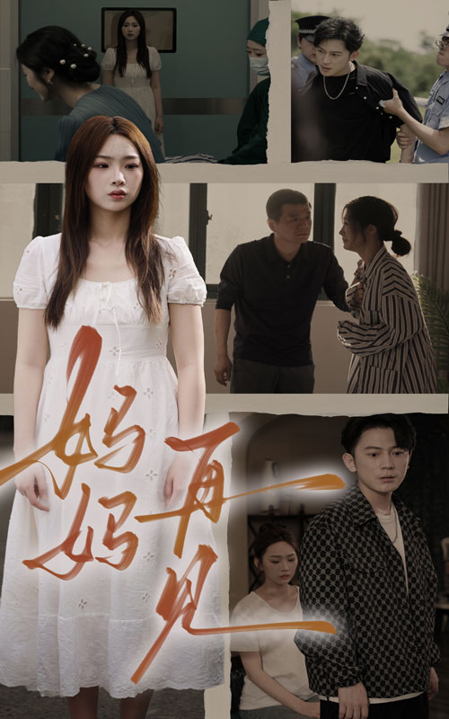 妈妈,再见(28集)