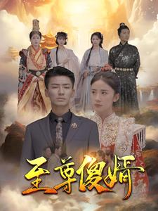 短剧资源:至尊傻婿(82集)