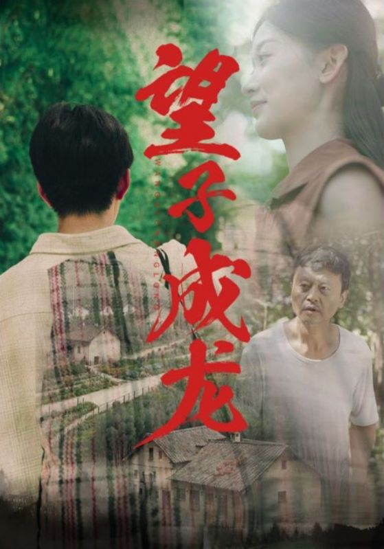 望子成龙(74集)