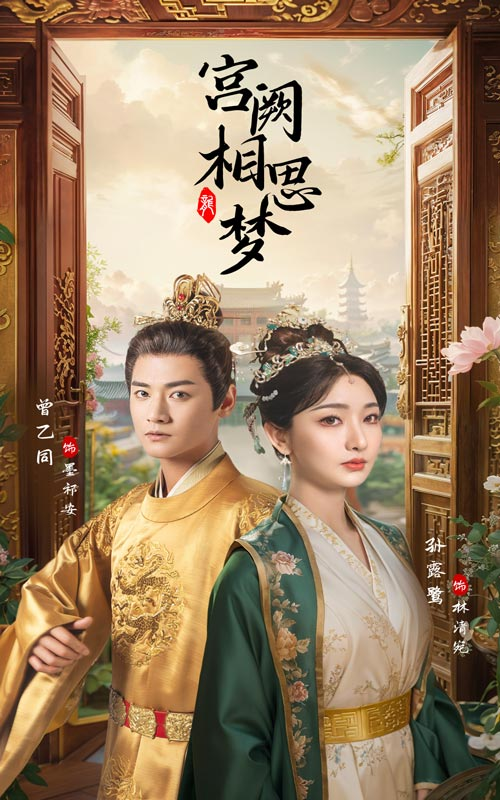 宫阙相思梦(66集)