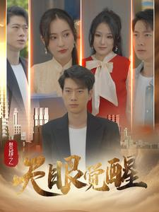 赘婿之天眼觉醒(100集）