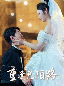 重逢已陌路$林千金她装不下去了$她如月光碎向星夜(80集)李婧也